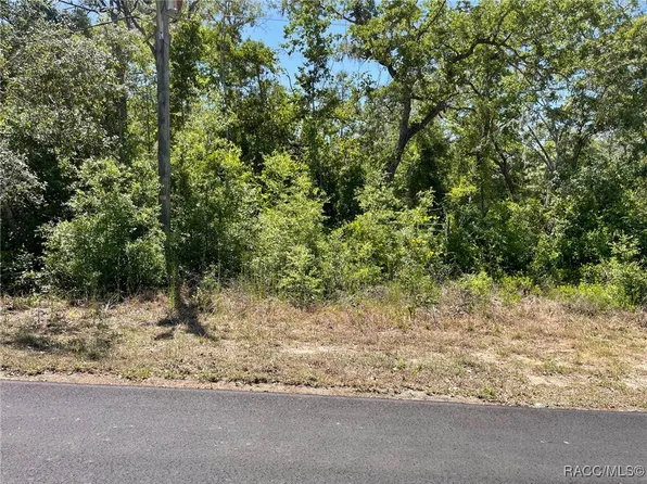 5437 W Cinnamon Ridge Dr, Lecanto, FL 34461