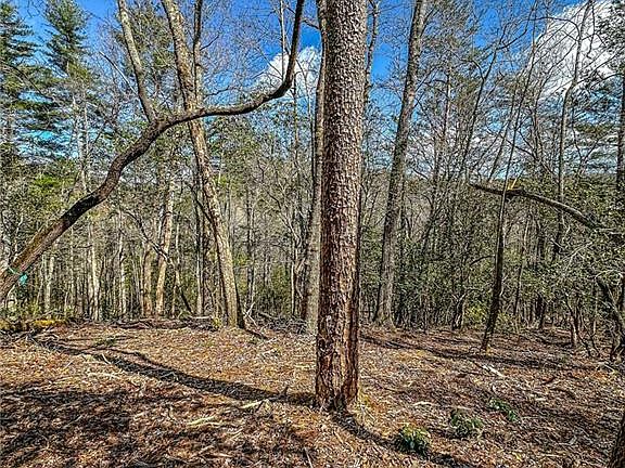 5th image of 0 Ts Jarrard Rd #4