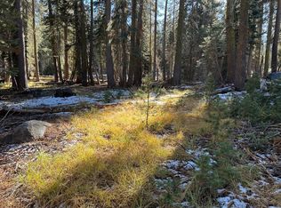 550 Cabbage Patch Log Rd, Tamarack Ca, CA 95223