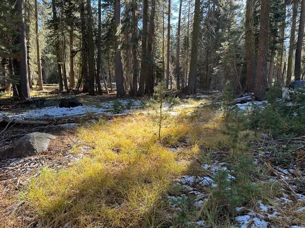550 Cabbage Patch Log Rd, Tamarack Ca, CA 95223