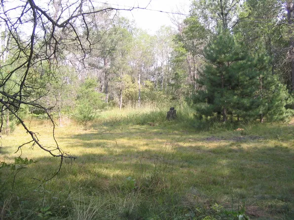 6657 Gaberdiel Trl, Grayling, MI 49738