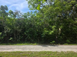 6601 SE 119th St LOT 1, Belleview, FL 34420