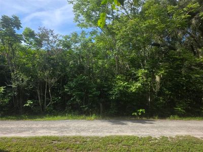 6601 SE 119TH STREET LOT 1, Belleview, FL, 34420