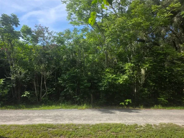 6601 SE 119th St Lot 1, Belleview, FL 34420
