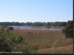 0 Scenic Lake Dr, Weeki Wachee, FL 34613