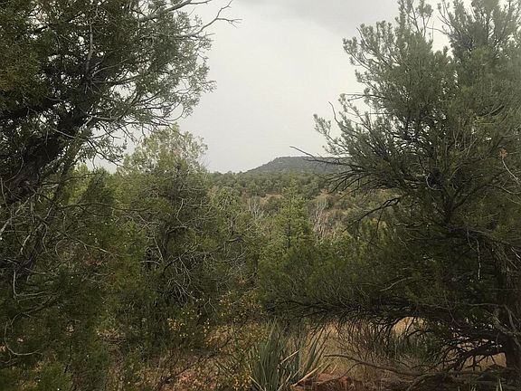 2nd image of 34655 El Charro Ln