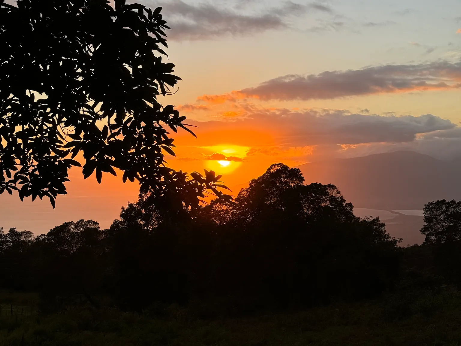 Kula Hwy, Kula — Photo 1