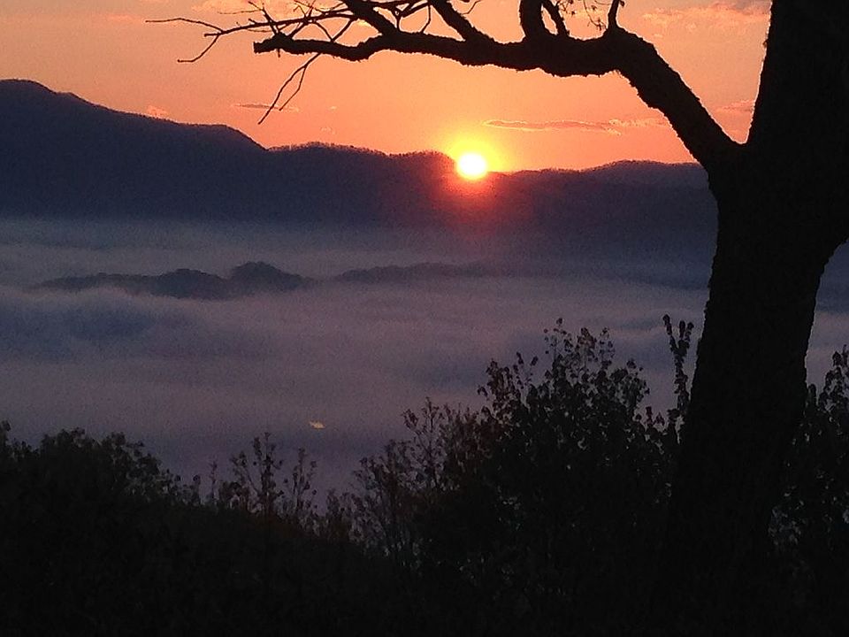 Sunrise on Bob Branch 