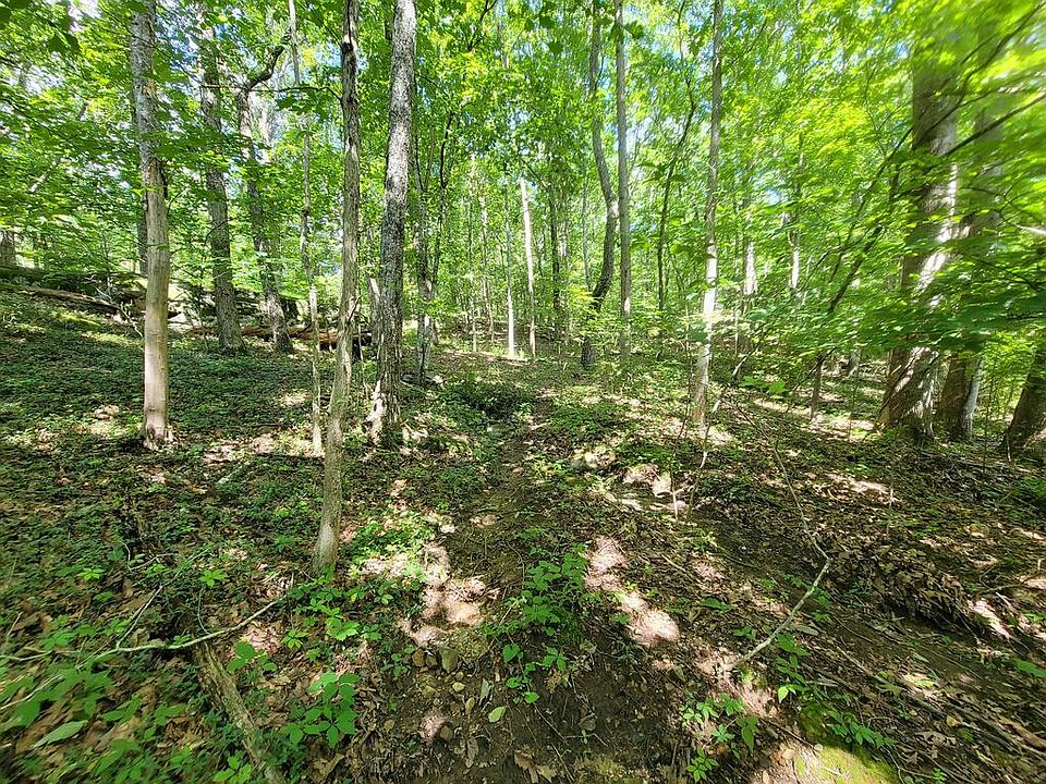 22nd image of 159-161 Sugarbush Cir