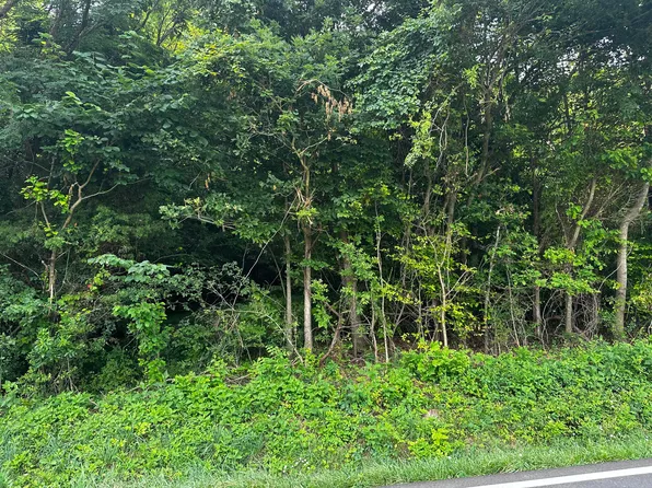TRACT 3 Highway 113, White Pine, TN 37890