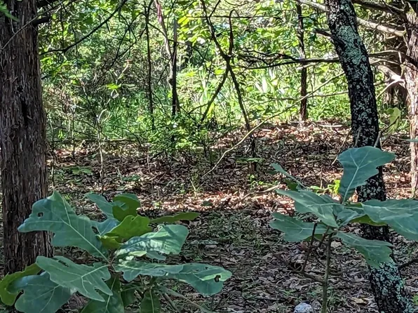 Havenwood Rd, Viola, AR 72583