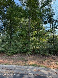211 Ottawa Pl, Loudon, TN, 37774