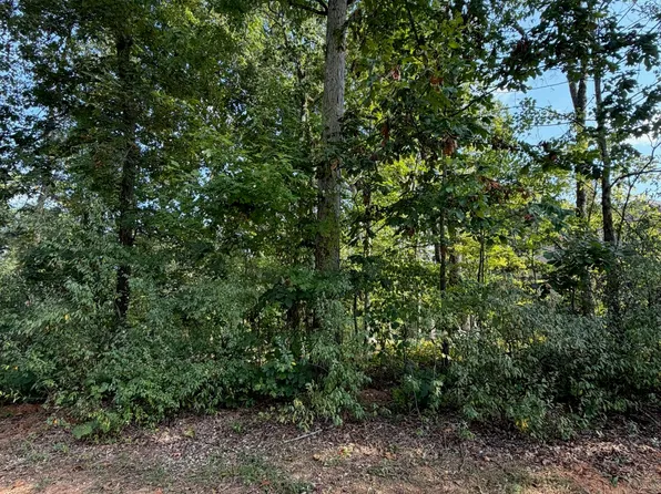 211 Ottawa Pl, Loudon, TN 37774