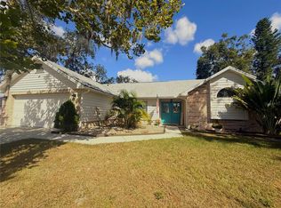 1602 Dumont Dr, Valrico, FL 33596