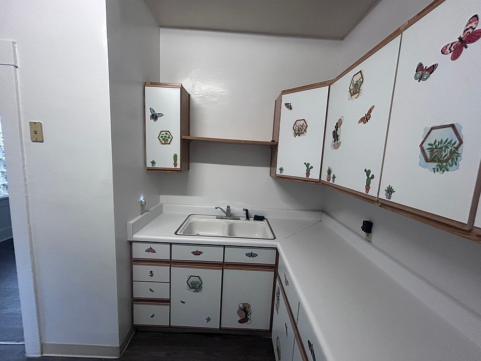 Kitchen sink and cabinets