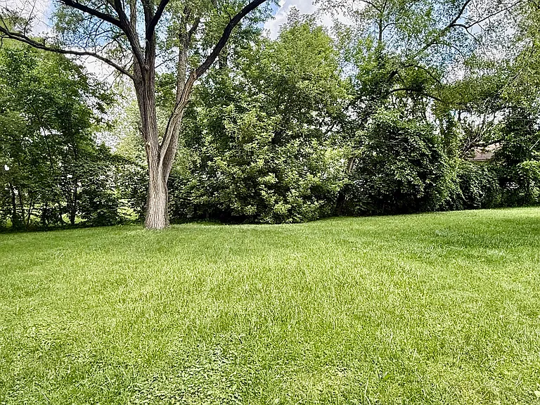 31543 Alpena Ct — Photo 13