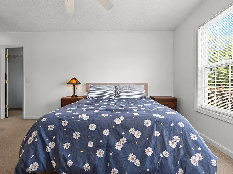 4697 Cockatoo Dr — Photo 25