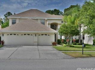 11647 Renaissance View Ct, Tampa, FL 33626