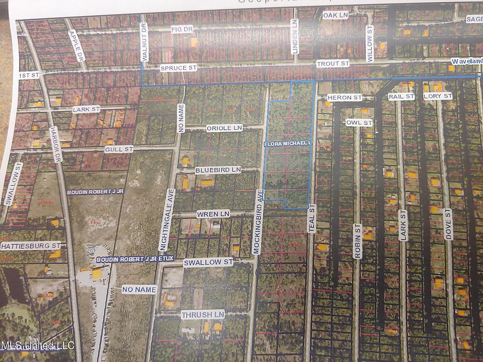 1st image of Teal Mockingbird St Lot 165