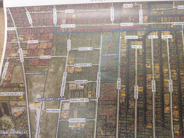 Teal Mockingbird St Lot 165, Bay Saint Louis, MS 39520