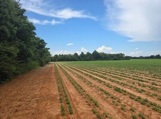 1 Willie Ln, Cottondale, FL 32431