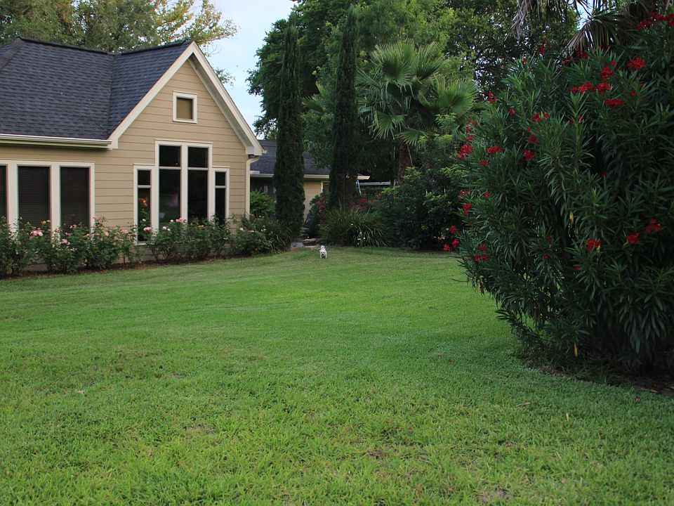 huge back yard / studio view