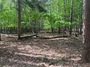 0 Mortimer Line Rd, Croswell, MI 48422
