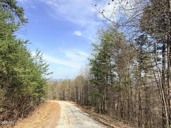 0 Trentham Rd Lot 21, Newport, TN 37821