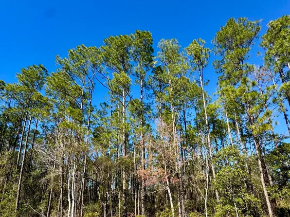 4420 VICKI Street, Hastings, FL 32145