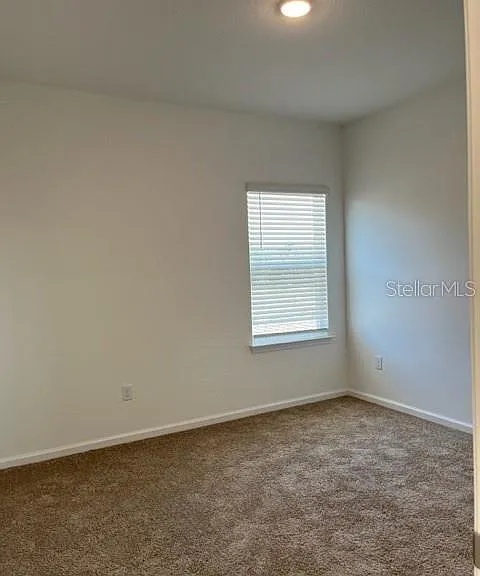 4502 Davos Dr — Photo 11