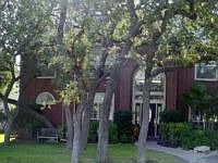1st image of 18711 Surreywood