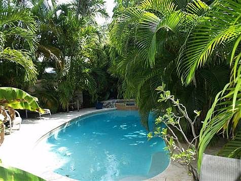 Large Swimming Pool & Spa