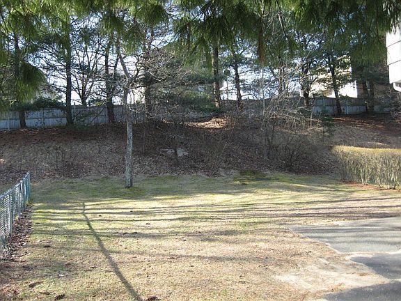 Rear Yard