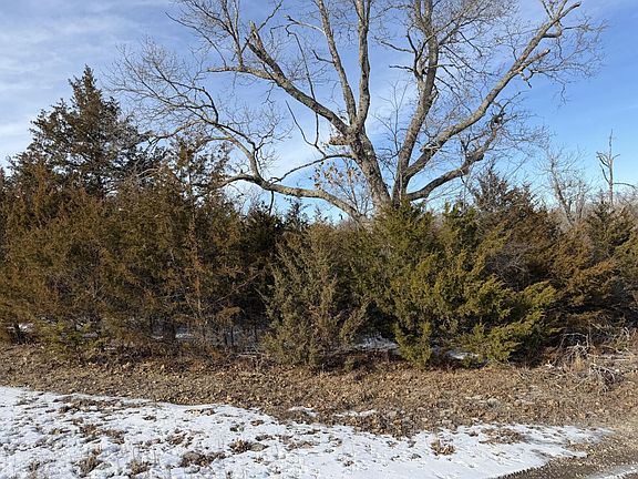 3rd image of 235 Shady Oaks Shore