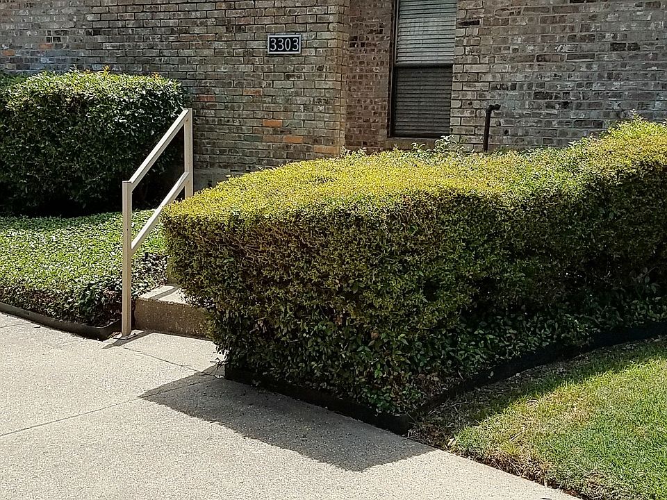 Curb Entry