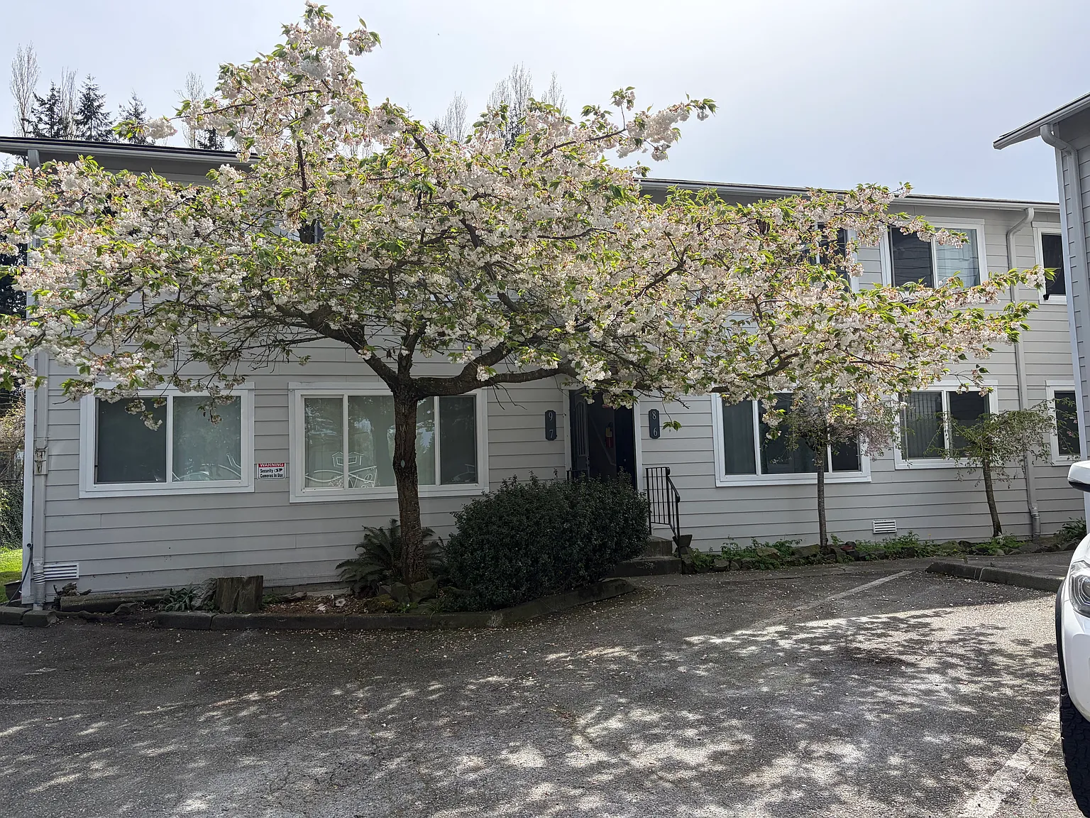 2 bed, 800 sqft, $1,620 — Photo 1