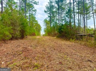 1461 N Walkers Mill Rd, Griffin, GA 30223
