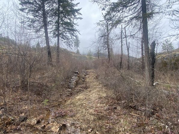 TRACT 2 Cowboys And Angels Ave, Kettle Falls, WA 99141