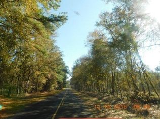 1290 Spring Hill Church Rd, Ridgeville, SC 29472