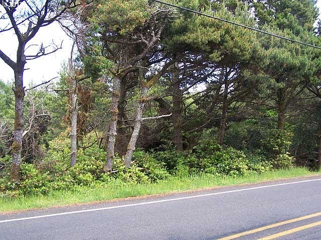 2nd image of Rhododendron Dr