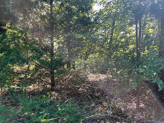 4th image of LOT 81 Waterfowl Rd