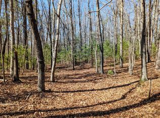 0 President Jackson Rd, Max Meadows, VA 24360