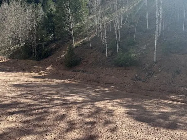 61 County Rd, Divide, CO 80814