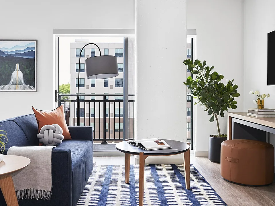 Designer-Furnished Studio Apartment
