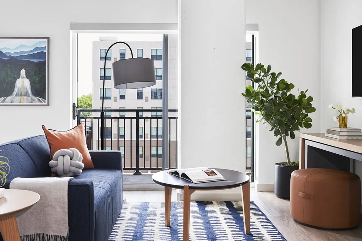 Designer-Furnished Studio Apartment