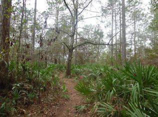 2541 Deer Park Blvd, Middleburg, FL 32068