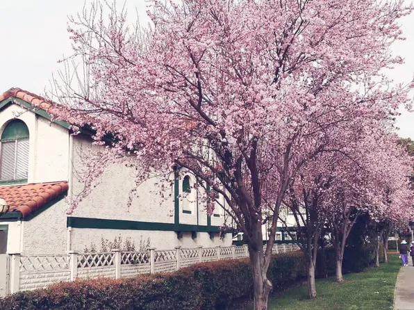 (undisclosed Address), San Jose, CA 95133