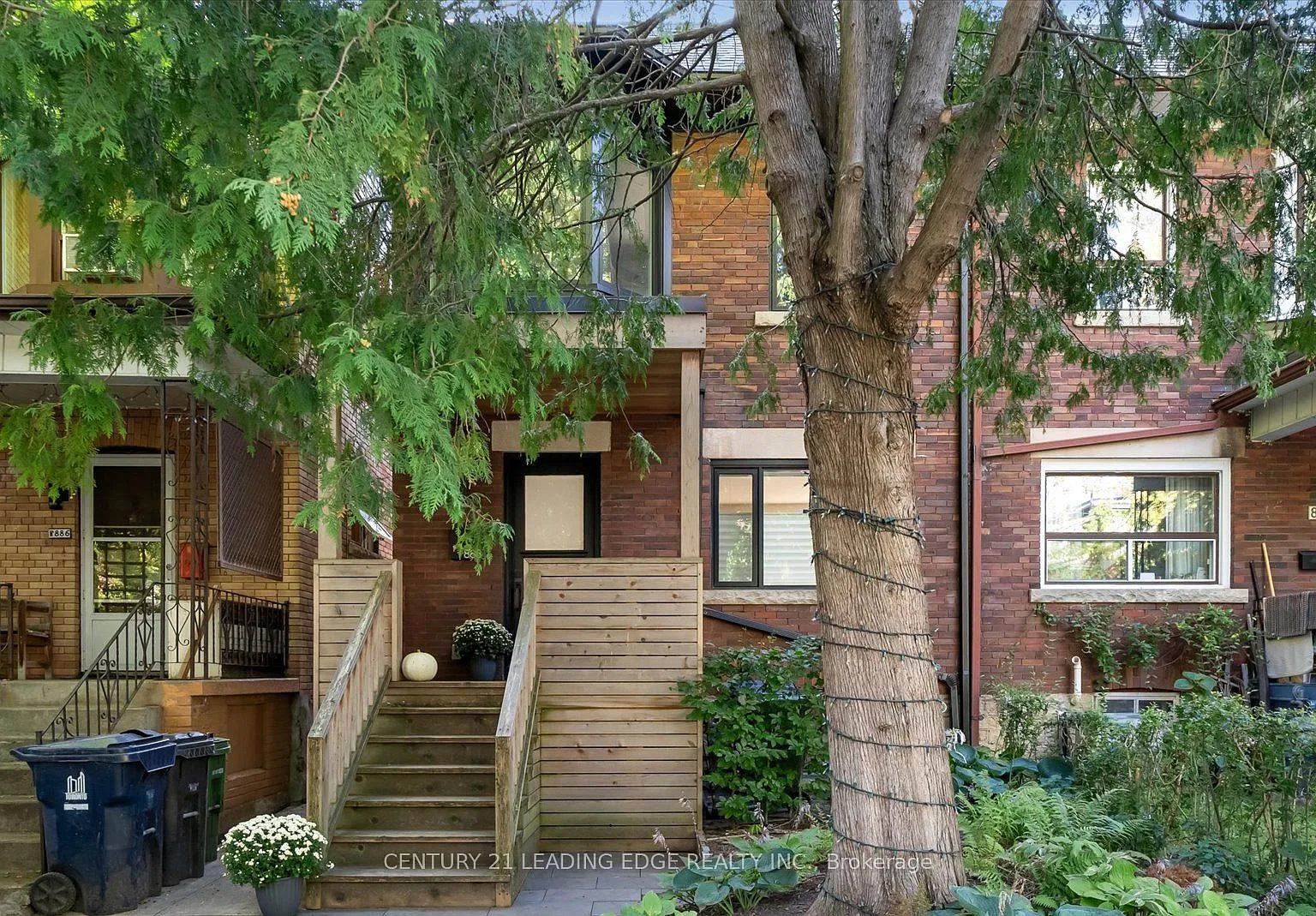 3 bed, $5,000 — Photo 2