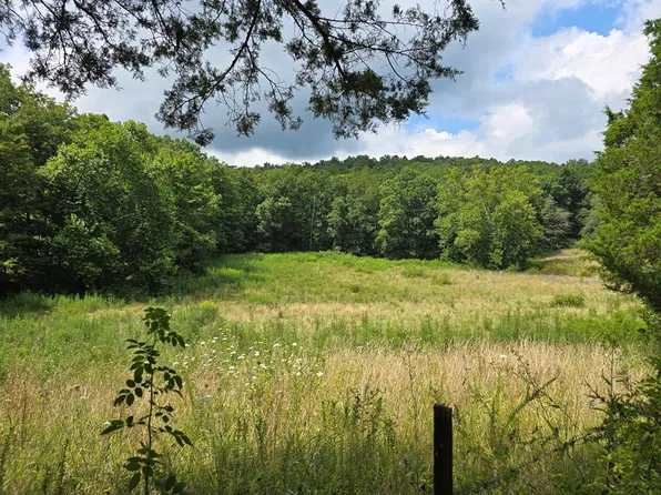 T4 Pleasant Shade Ln, Monterey, TN 38574