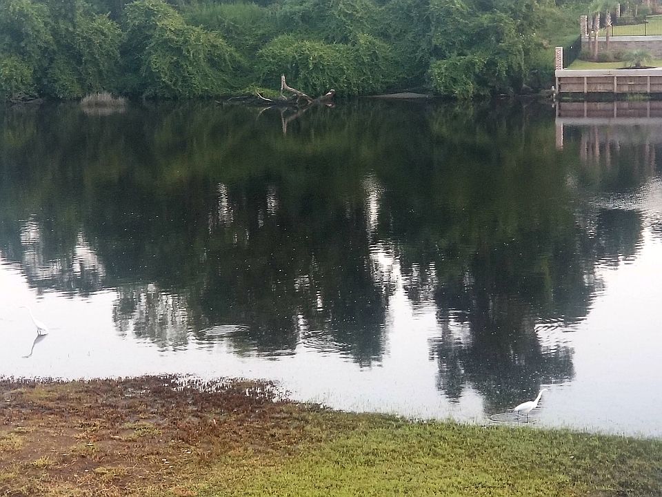 1st image of 207 Palmetto Harbour